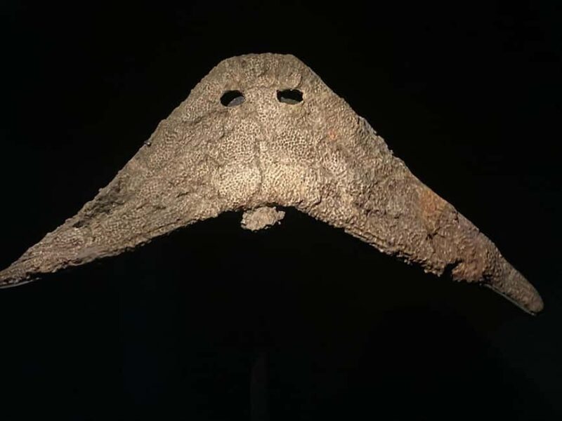 London Natural History Museum - Private Tour with Expert - Who Should Choose This Tour