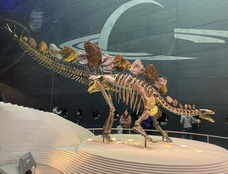 London Natural History Museum - Private Tour with Expert - Frequently Asked Questions