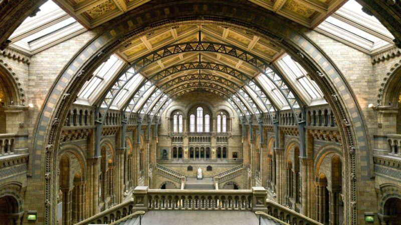 London: Natural History Museum Tour - Discover the Wonders of Londons Natural History Museum with a Guided Tour