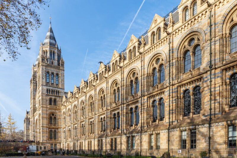 London: Natural History Museum Tour - Exclusive Access to Iconic Fossils and Skeletons