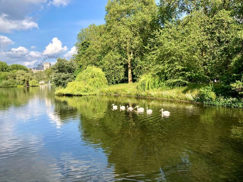 London: Parliament & Palaces private walking tour with guide - View of Buckingham Palace and Royal Traditions