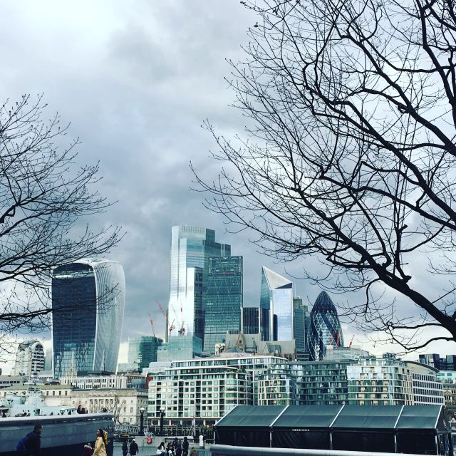 London: Private Intro Walk with a Local Guide - Exploring Trafalgar Square and Whitehall