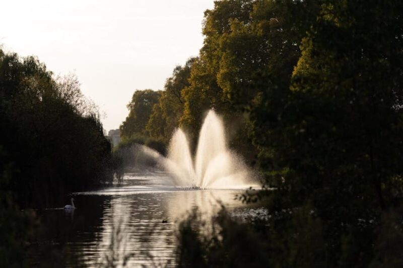 London: Private Royal Walking Tour with a Local Guide - Key Points
