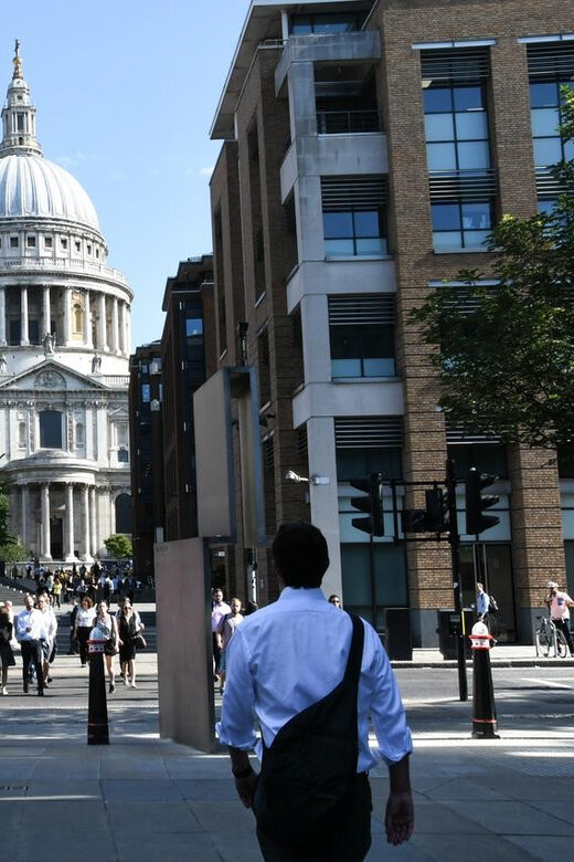 London: Private Taxi 50+ Sights Tour & St Paul's Cathedral - Who Would Enjoy This Tour Most?