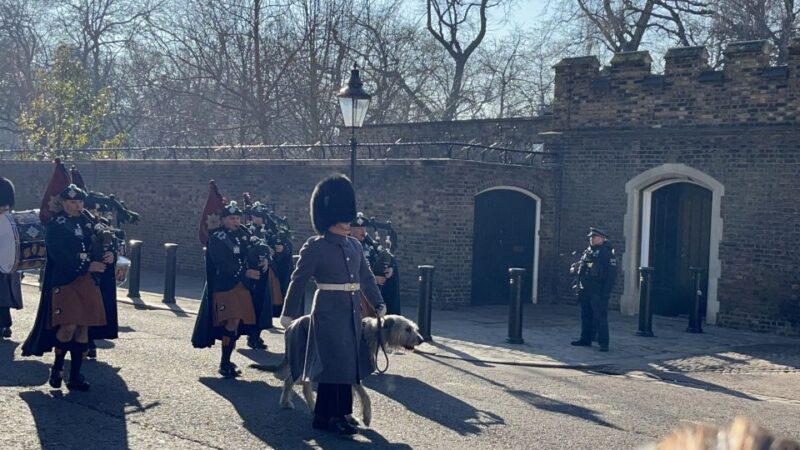 London: Royal Family and Changing of the Guards Walking Tour - Learning the Royal Hierarchy and Family Secrets