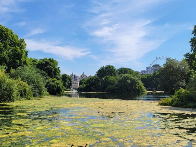 London: Royal Walking Tour and Buckingham Palace Audio Tour - Pricing, Cancellation, and Booking Flexibility