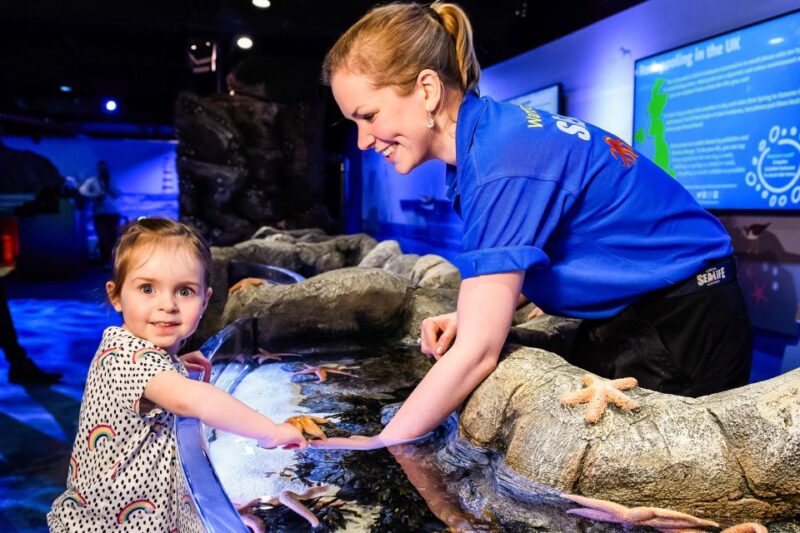 London: SEA LIFE Entry Ticket - Dive into Londons Underwater World at SEA LIFE London