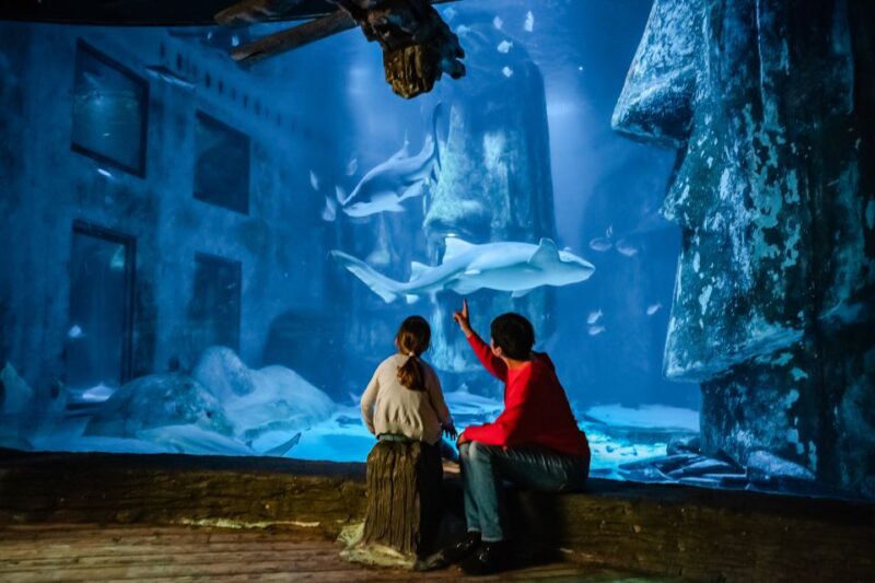 London: SEA LIFE Entry Ticket - Behind the Scenes of the Rainforest and Arctic Zones