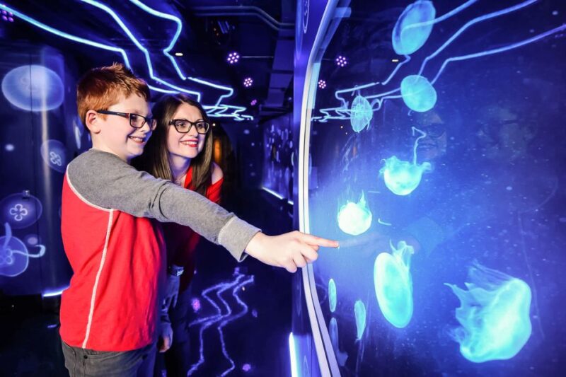 London: SEA LIFE Entry Ticket - Viewing Sharks and Marine Creatures from Above and Below