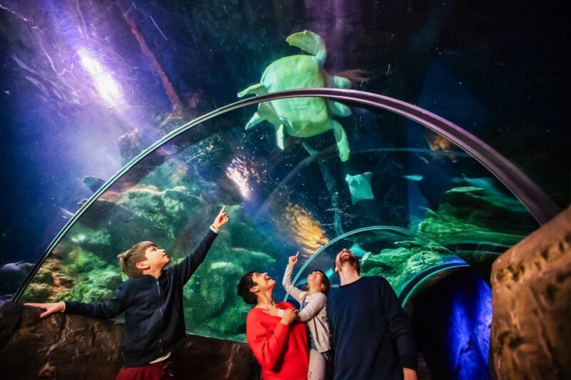 London: SEA LIFE Entry Ticket - Final Thoughts on Visiting SEA LIFE London