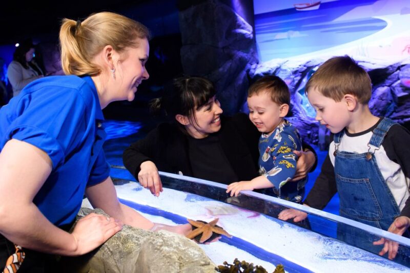 London: SEA LIFE & London Eye Combo Ticket - Practical Booking and Entrance Details