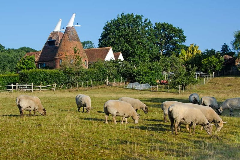 London: Small Group Canterbury, Dover & Kent Villages Tour - Time in Canterbury: Cathedral and City Streets