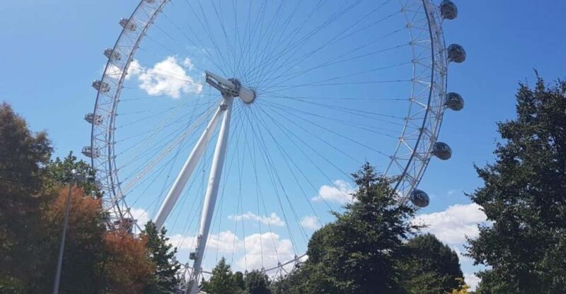 London: Taxi 50+ Sights Private Tour & London Eye Ride - What to Expect from Your Local Guide in a Classic Black Cab