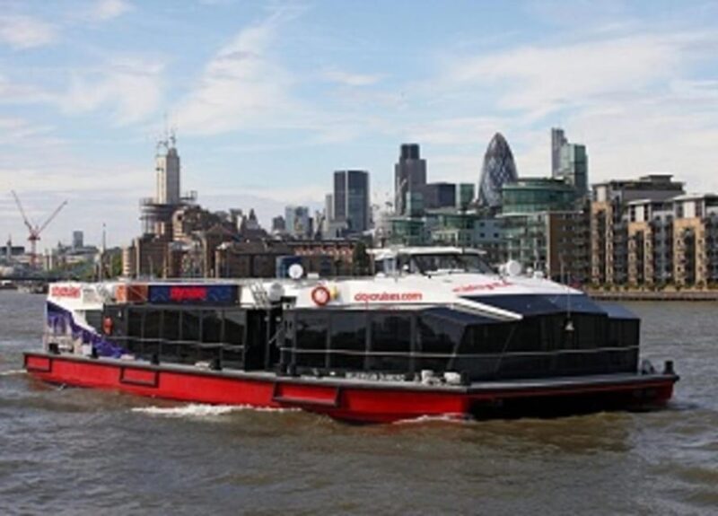 London: Taxi 50+ Sights Private Tour & Thames River Cruise - Accessibility and Practical Tips for this Tour