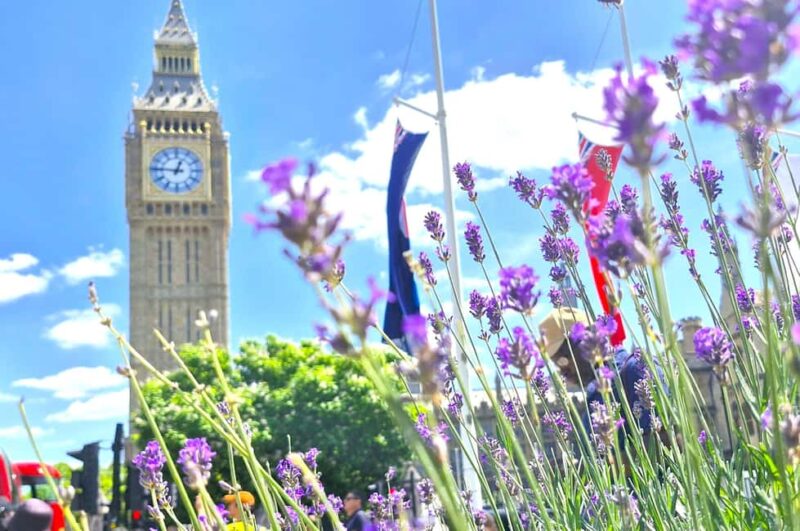 London tour with a qualified tour guide - Explore Londons Iconic Landmarks with a Qualified Guide in German