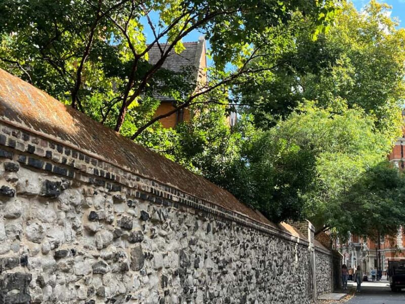 London: Westminster Behind the Abbey Walking Tour - Why This Tour Stands Out in Westminster