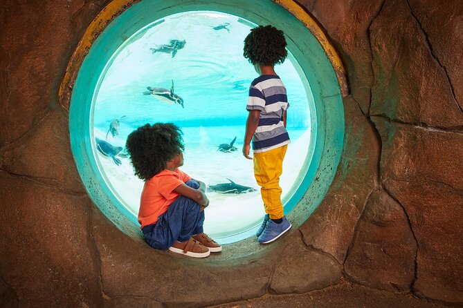 London Zoo Entry Ticket - Practical Tips for Visiting London Zoo