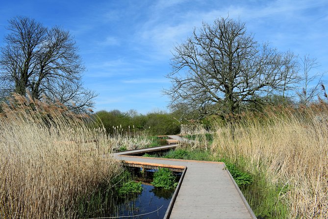 London's Best Kept Secret Bike Tour - Discovering South London’s Hidden Village and Wildlife Hotspots