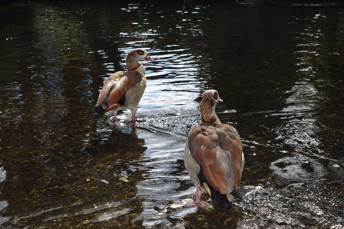 London's Best Kept Secret Bike Tour - Relaxing at a Historic 17th Century Village Pub
