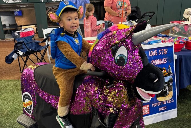 Lone Star Rydables Family Fun Tour in Arlington - Key Points