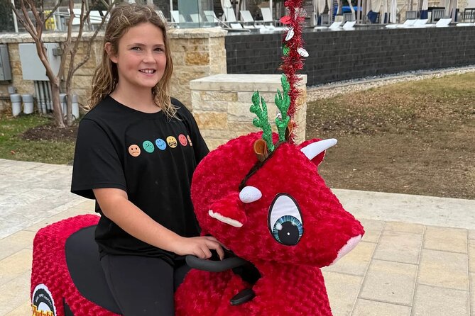 Lone Star Rydables Family Fun Tour in Arlington - What’s Included and What’s Not
