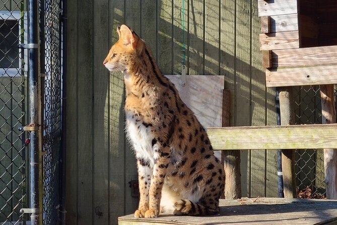 Long Island Farm & Wildplay Jones Beach Tour | Kids 50% Off - Ziplining and Aerial Courses at WildPlay Jones Beach
