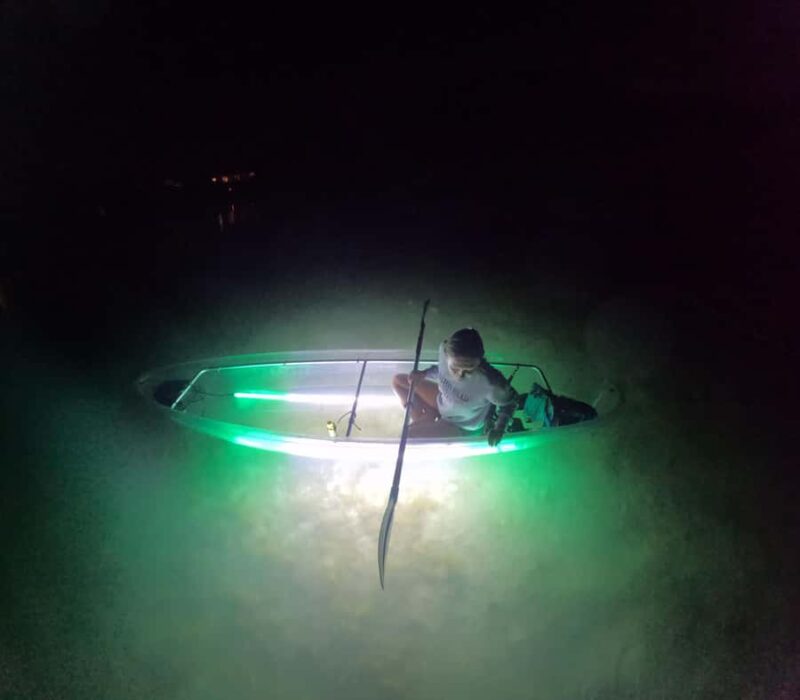 Longboat Key Clear Kayak LED Illuminated Night Tour Sarasota - Stargazing and Sky Spotting Opportunities