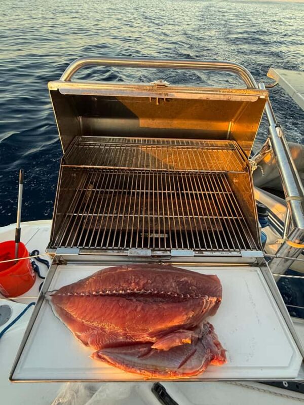 Loreto, Baja California, Mexico - Catamaran Sailing Cruise - Explore Loreto’s Islands on a 4-Hour Catamaran Sailing Cruise