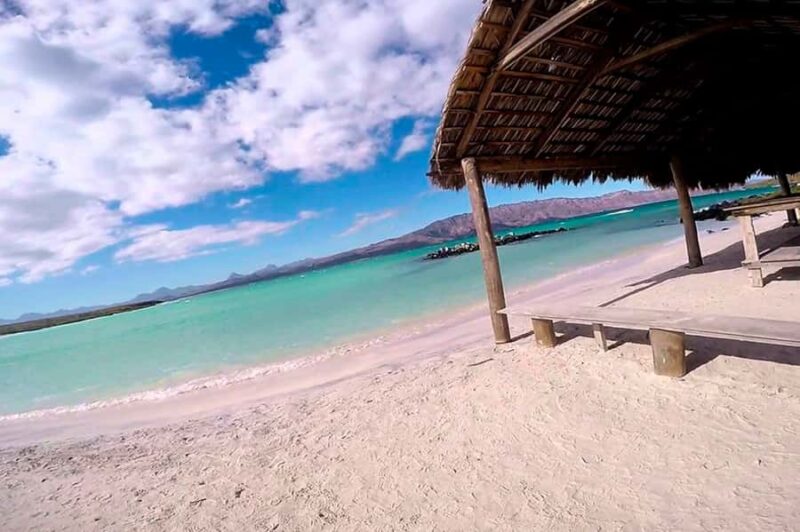 Loreto: Gray Whale Watching Tour at Lopez Mateos - Key Points