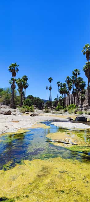 LORETO:Experience the SPEED UTV!4 hours of adrenaline!!COME! - Flexible Booking Options and Cancellation Policy