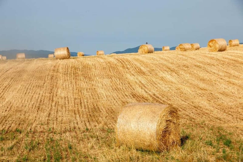 Lorica: rent an e-bike - Meeting Point and Practical Details