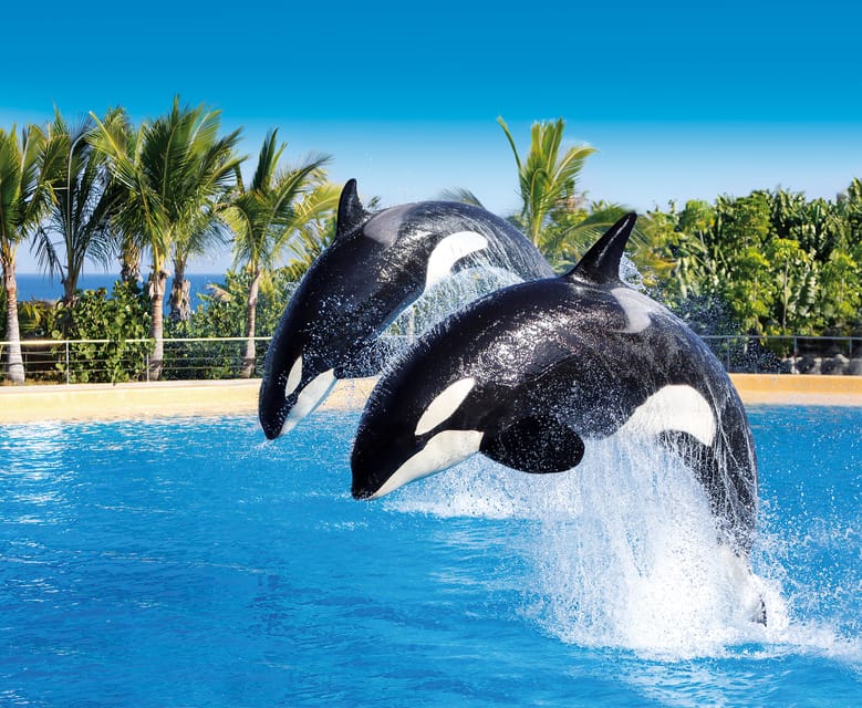 Loro Parque and Siam Park Combined Admission Tickets - Logistics and Transportation Options for Easy Access