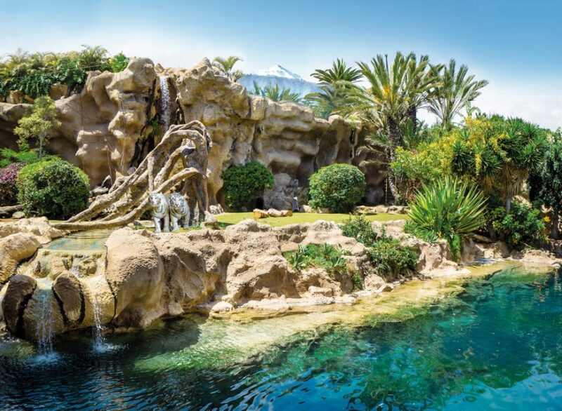 Loro Parque and Siam Park Combined Admission Tickets - Tips for Visiting Both Parks Within 14 Days
