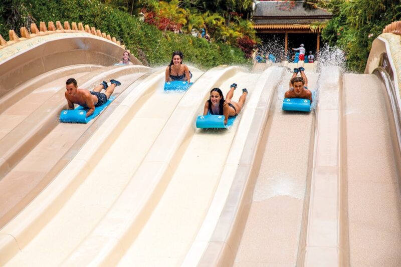 Loro Parque and Siam Park Combined Admission Tickets - The Sum Up: A Well-Rounded Day Out in Tenerife