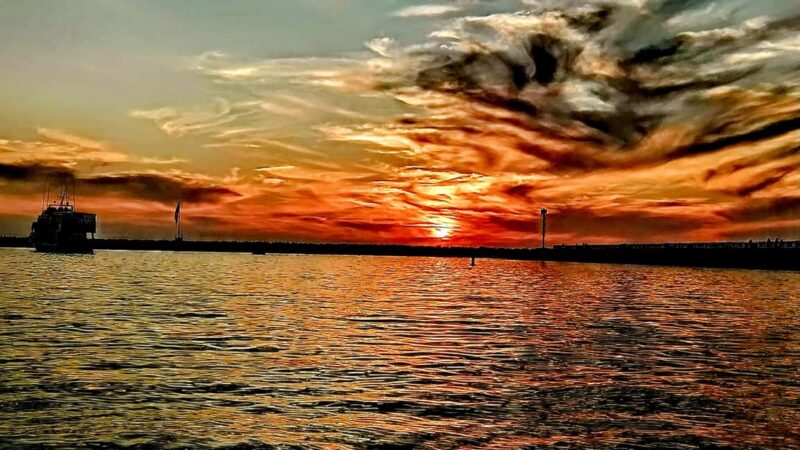 Los Angeles #1: Luxury Boat Cruise-Wine, Cheese & Sea Lions - Savoring Wine and Cheese on the Water