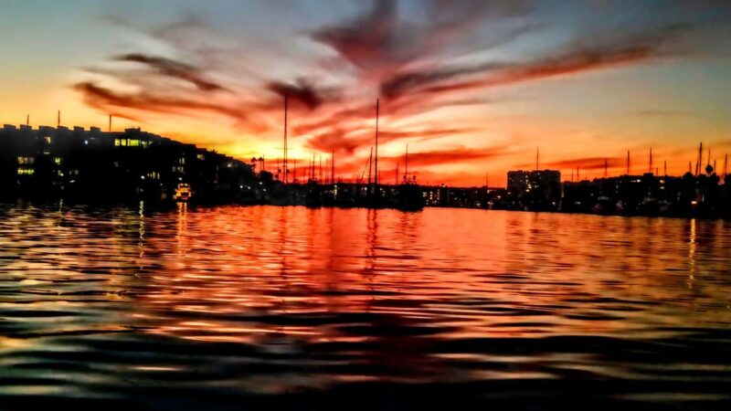 Los Angeles #1: Luxury Boat Cruise-Wine, Cheese & Sea Lions - Upgrading Your Experience with Add-Ons