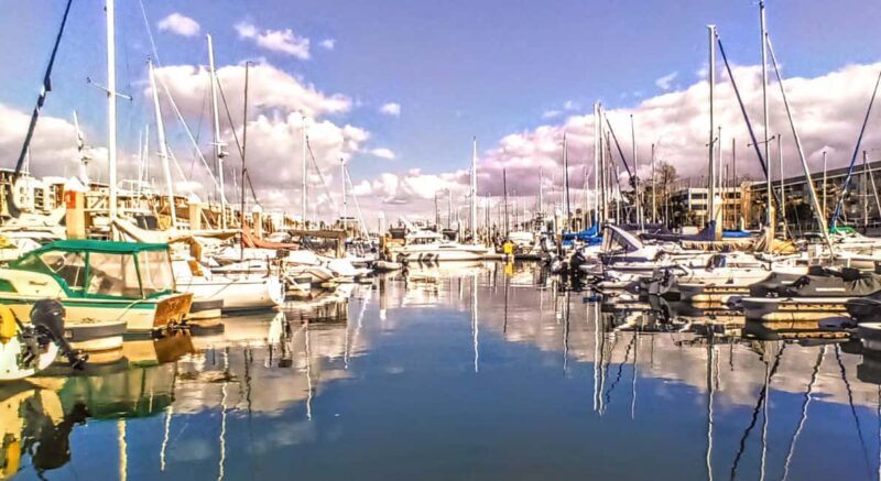 Los Angeles #1: Luxury Boat Cruise-Wine, Cheese & Sea Lions - Practicalities: Meeting Point, Parking, and Tips