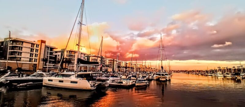 Los Angeles #1: Luxury Boat Cruise-Wine, Cheese & Sea Lions - Ideal Occasions for This Water Adventure