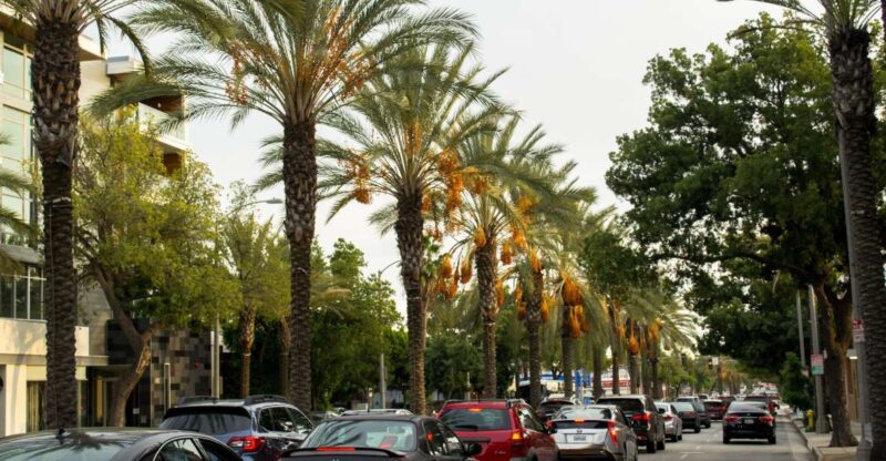 Los Angeles: 3-Hour Private Driving Tour w/ Local Guide - Explore Los Angeles in an Intimate 3-Hour Private Driving Tour