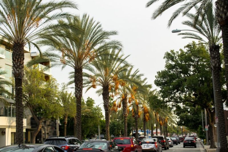 Los Angeles: 3-Hour Private Driving Tour w/ Local Guide - Soaking Up Mexican Vibes on Olvera Street and LA Plaza