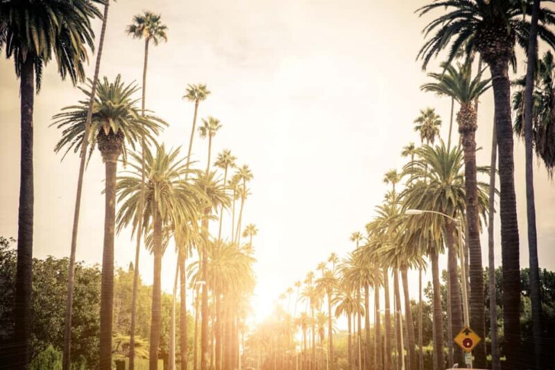 Los Angeles 4-Hour Private Tour: Beverly Hills & More - Key Points
