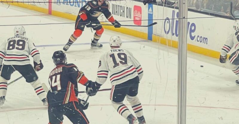 Los Angeles: Anaheim Ducks Ice Hockey Game Ticket - The Value of This NHL Ticket Experience