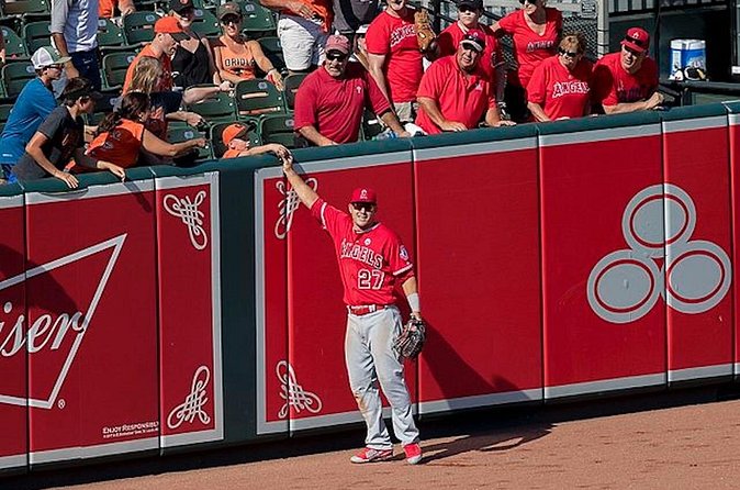 Los Angeles Angels Baseball Game at Angel Stadium - Who Should Book This Experience?