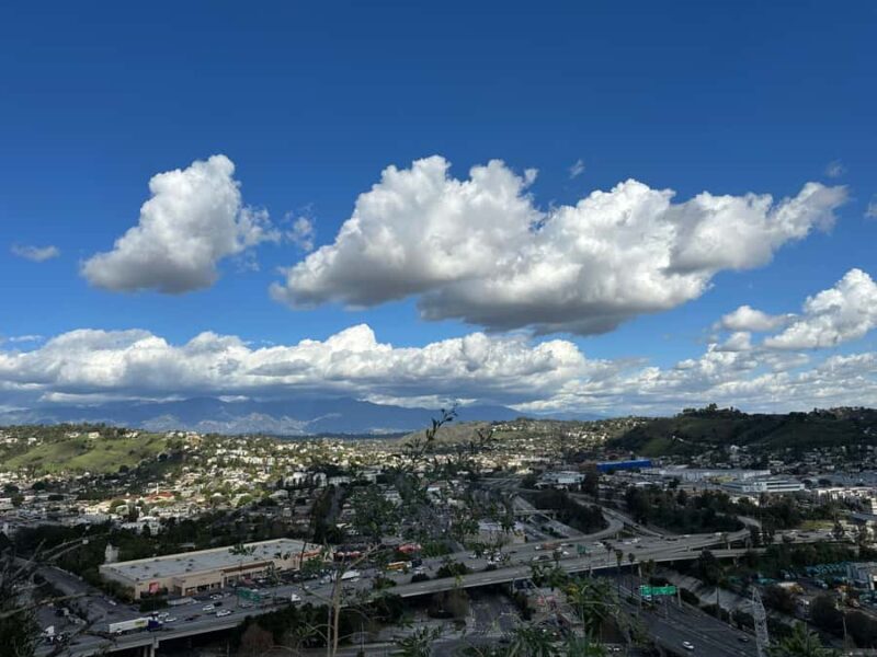 Los Angeles: E-Bike Tour of LA River, Elysian Park, Frogtown - Exploring Elysian Park, LA’s Oldest Green Space