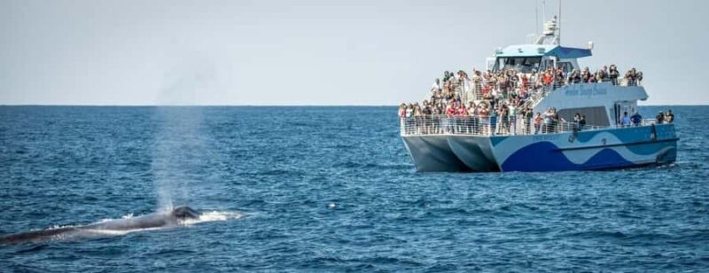 Los Angeles Harbor Breeze Cruise & Battleship USS Iowa Entry - The Sum Up: An Engaging Maritime Day in Los Angeles