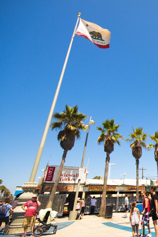 Los Angeles, Hollywood, and Beverly Hills Private Tour - The Guide’s Expertise and Guest Experience