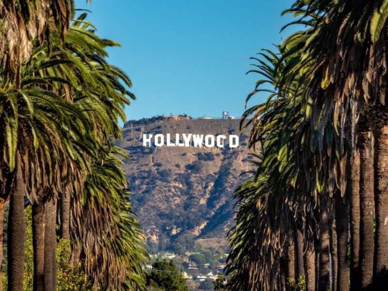Los Angeles, Hollywood, and Beverly Hills Private Tour - Suitable for Families and Individuals Alike