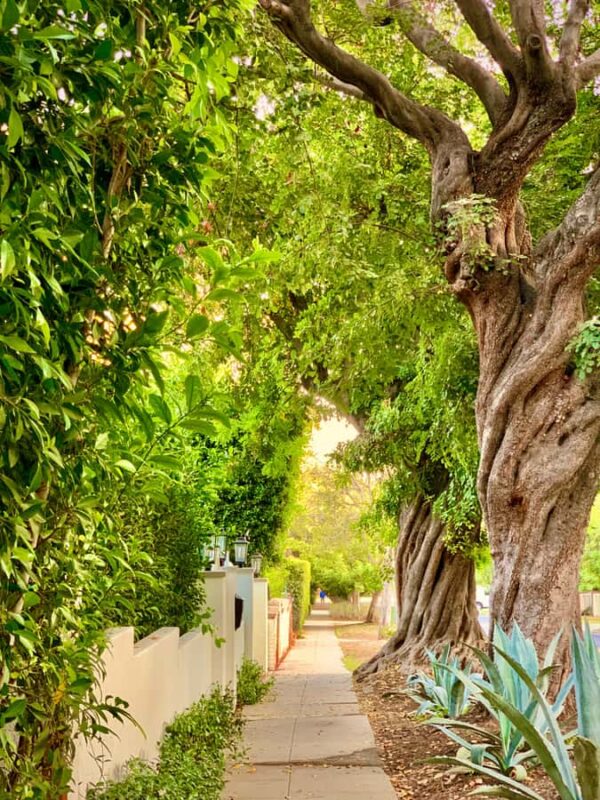 Los Angeles: Hollywood Sunset Walking & Hiking Tour - The Hollywood Hills and Skyline Views