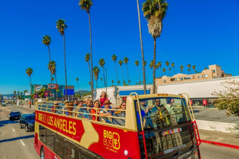 Los Angeles: Hop-on Hop-off Sightseeing Tour by Open-top Bus - Practical Aspects: Buses, Commentary, and Accessibility