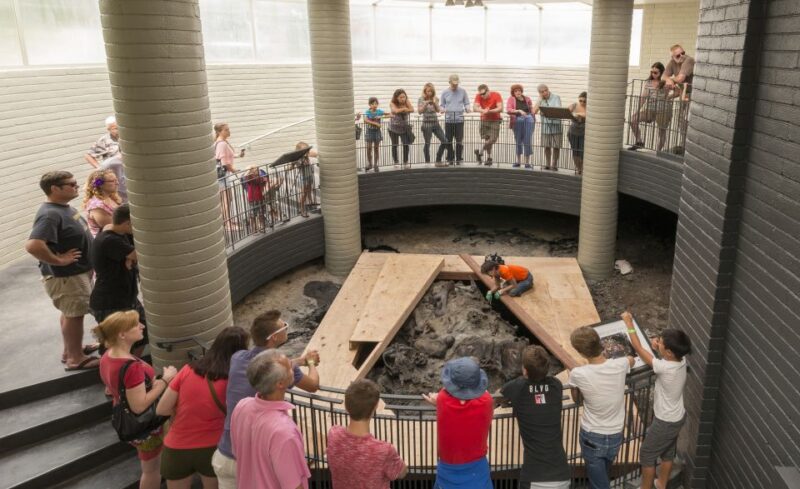 Los Angeles: La Brea Tar Pits Museum Ticket - Add-On Attractions and Extra Cost Options